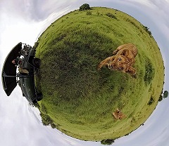 GoPro Fusion 360°カメラ